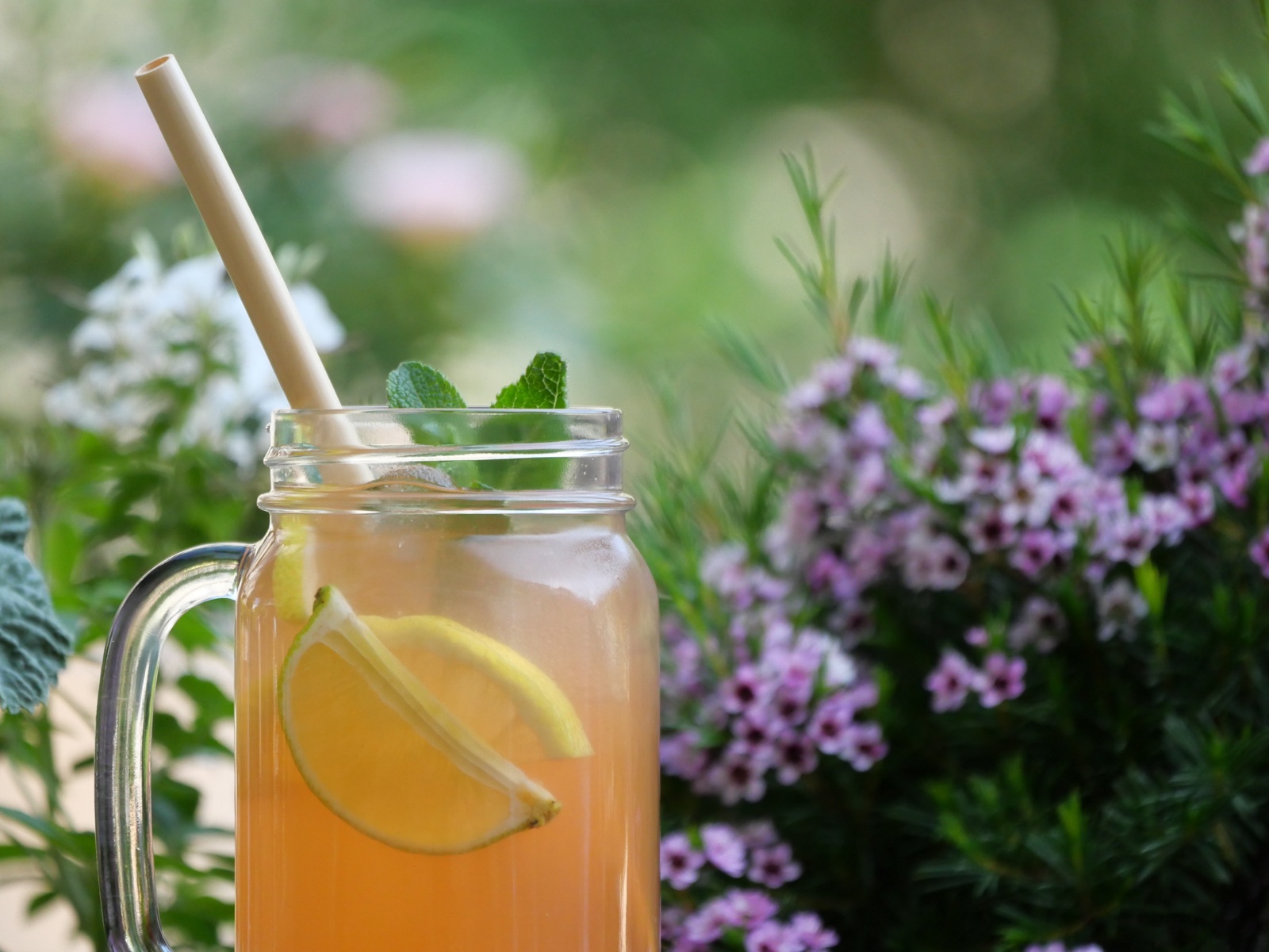 Zitronenlimonade im Garten